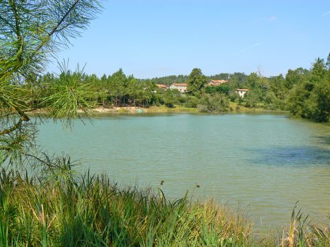 Camping à la ferme Saint Aigulin