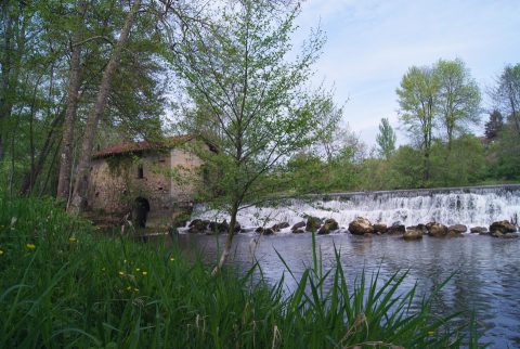 Le Moulin de l’île Feydau - Saint Aigulin