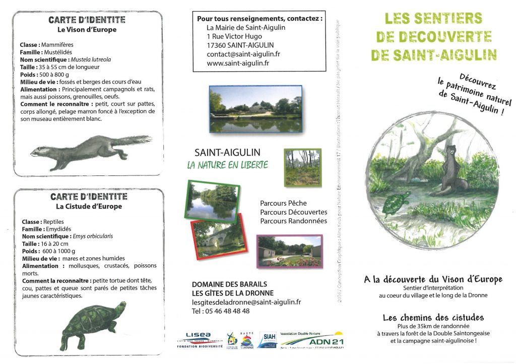 sentiers découverte de Saint-Aigulin : tortue cistude & vison d'Europe